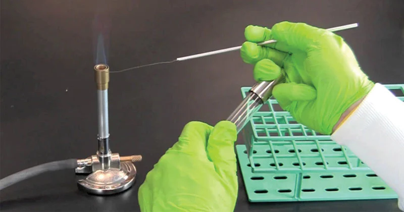 Aseptic Technique and Culturing Microbes
